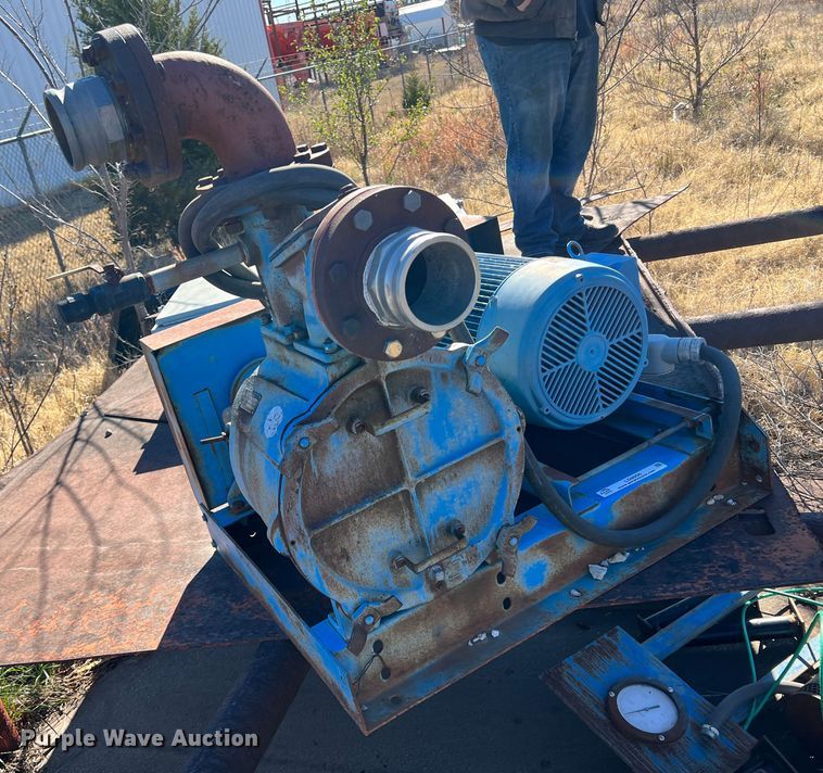 image for item LS9956 Crown P04LAVB411  pump