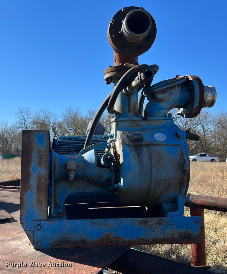 image for item LS9956 Crown P04LAVB411  pump