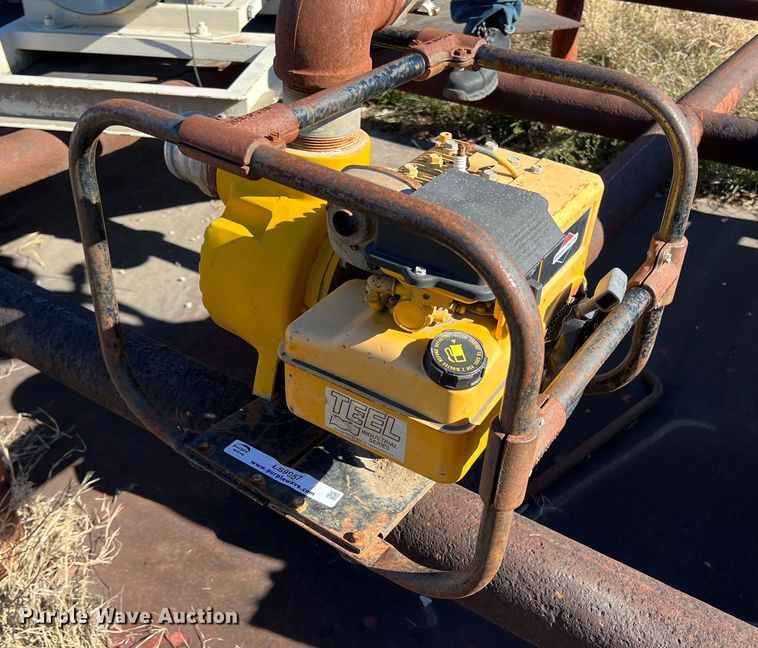 image for item LS9957 Teel 3P600D  pump