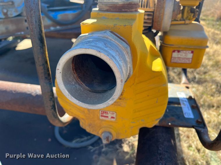 image for item LS9957 Teel 3P600D  pump