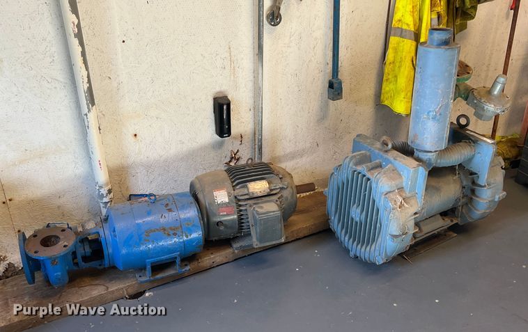 image for item LS9959 (2) pumps