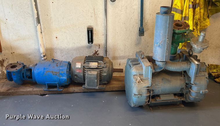 image for item LS9959 (2) pumps