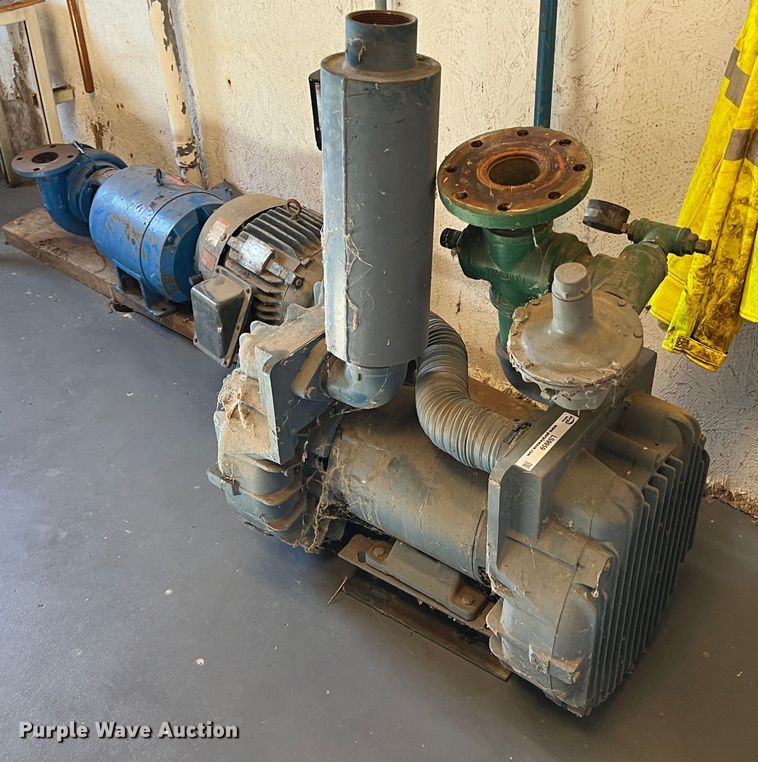 image for item LS9959 (2) pumps