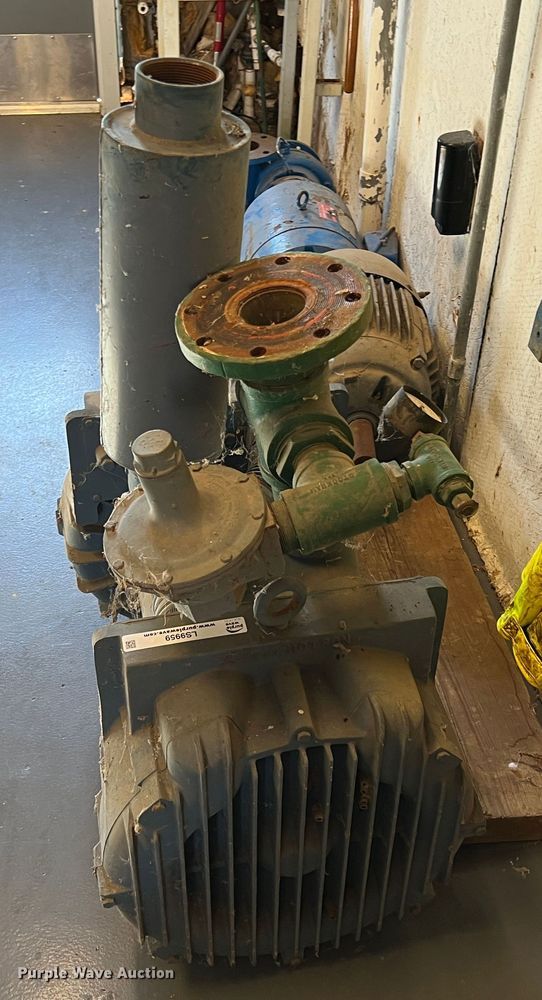 image for item LS9959 (2) pumps