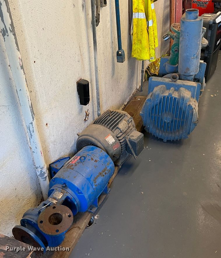 image for item LS9959 (2) pumps