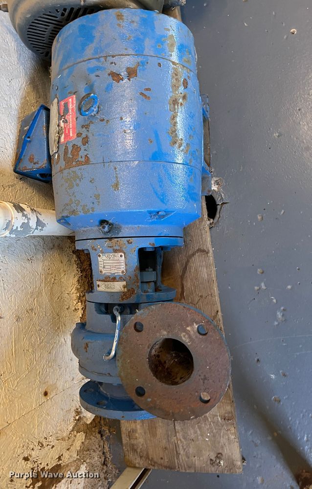 image for item LS9959 (2) pumps