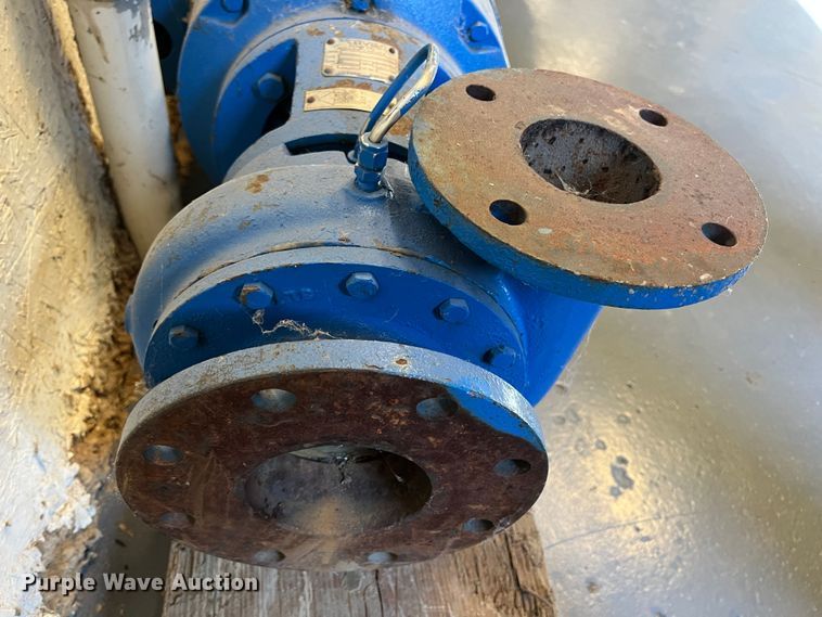 image for item LS9959 (2) pumps