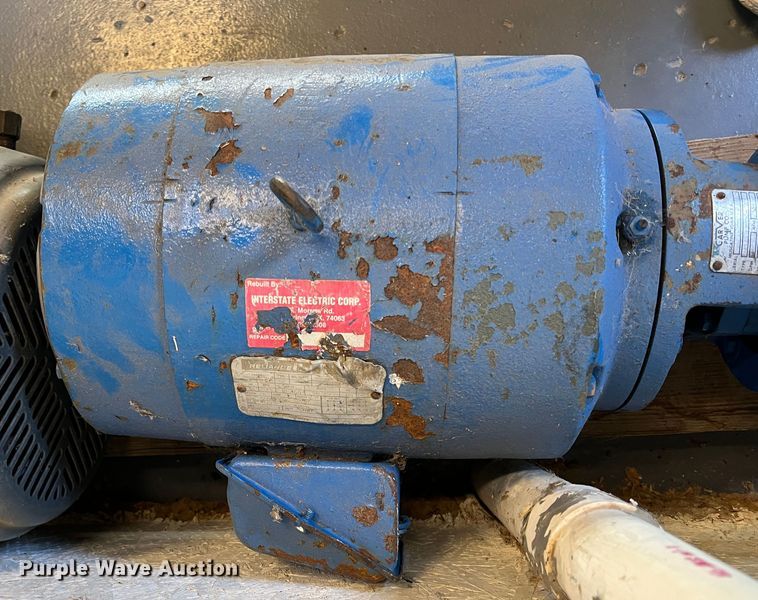 image for item LS9959 (2) pumps