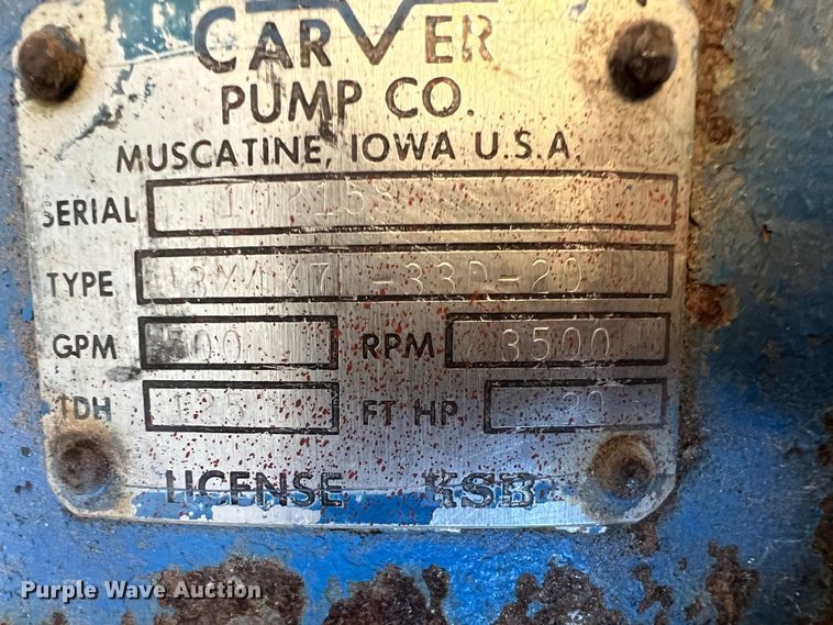 image for item LS9959 (2) pumps