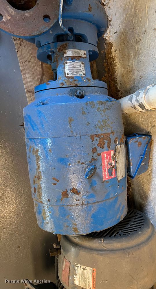 image for item LS9959 (2) pumps