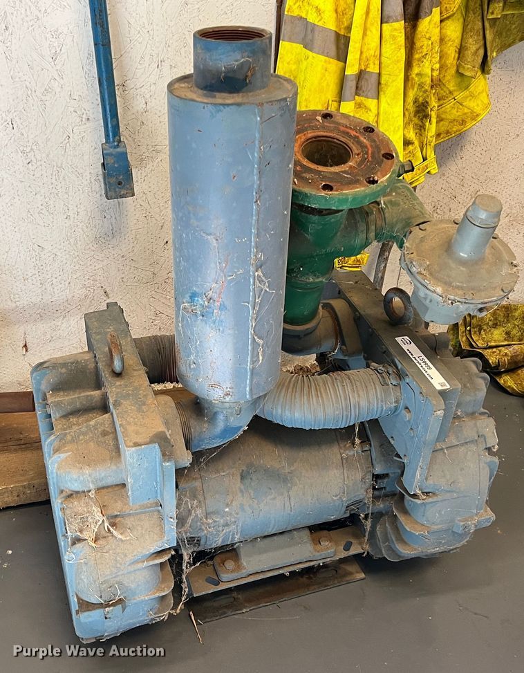 image for item LS9959 (2) pumps