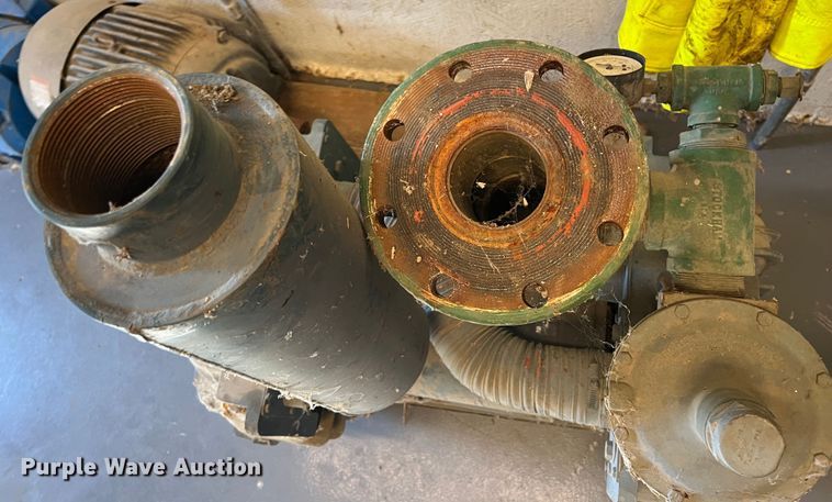 image for item LS9959 (2) pumps