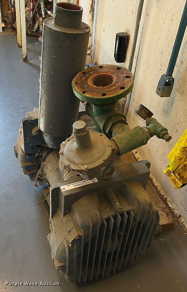 image for item LS9959 (2) pumps