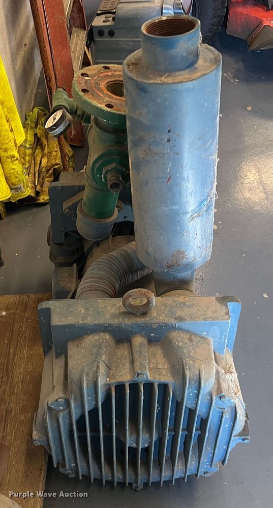 image for item LS9959 (2) pumps