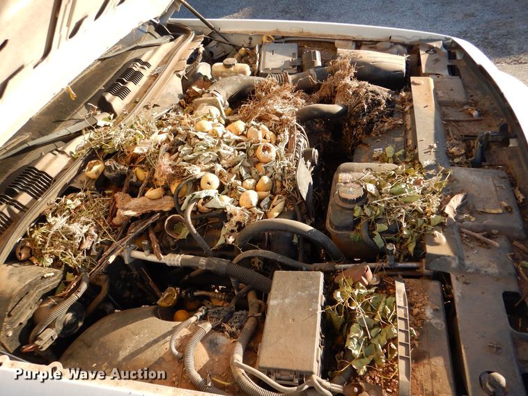 image for item MT9933 2008 Ford Crown Victoria Police Interceptor