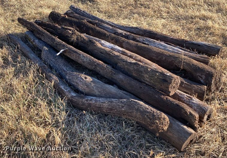 image for item DL2258 (60) hedge posts