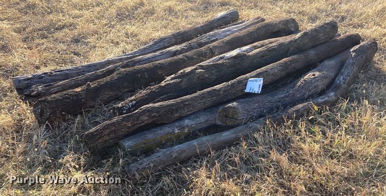 image for item DL2258 (60) hedge posts