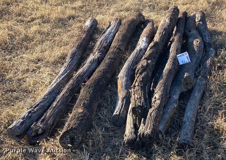 image for item DL2258 (60) hedge posts