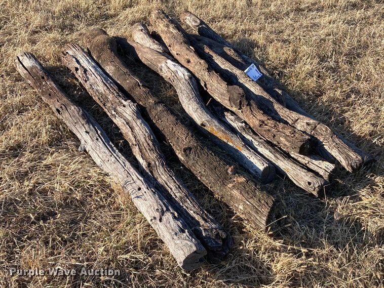 image for item DL2258 (60) hedge posts