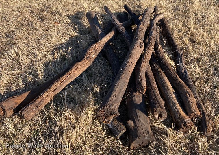 image for item DL2258 (60) hedge posts