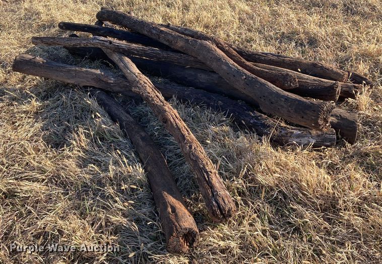 image for item DL2258 (60) hedge posts