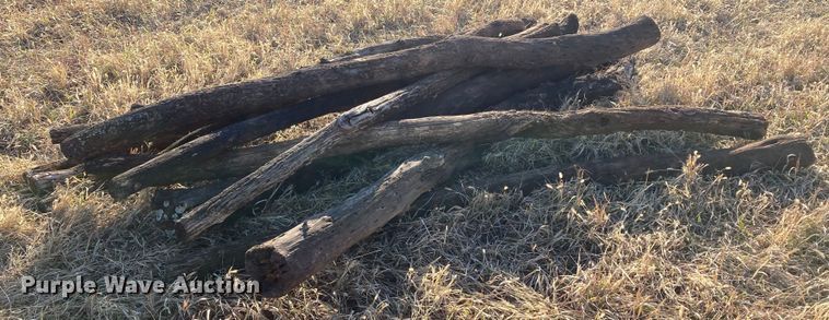 image for item DL2258 (60) hedge posts