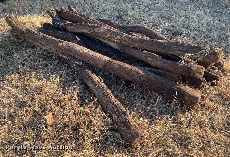 image for item DL2258 (60) hedge posts