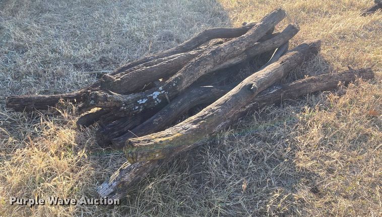 image for item DL2258 (60) hedge posts