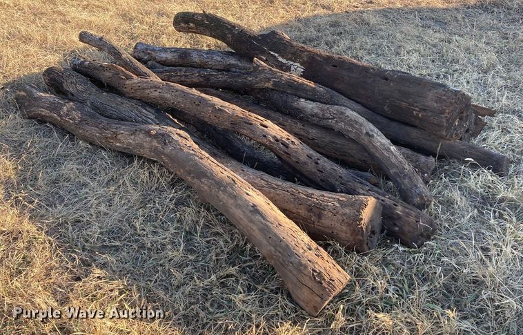 image for item DL2258 (60) hedge posts