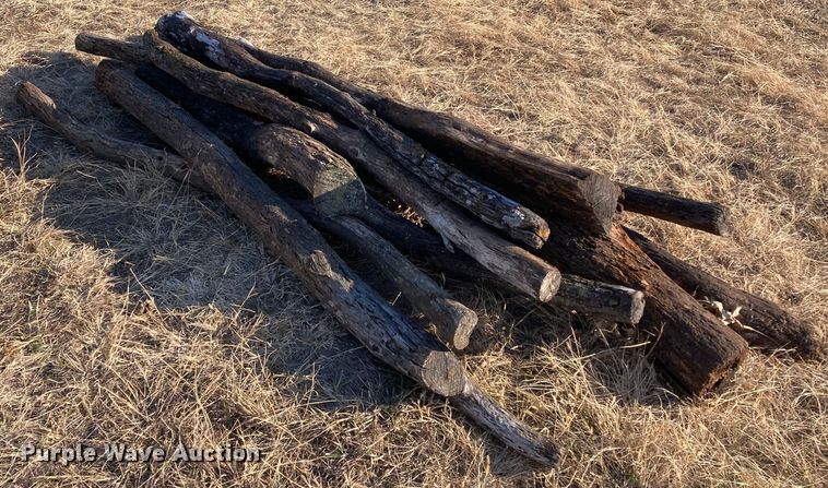 image for item DL2258 (60) hedge posts