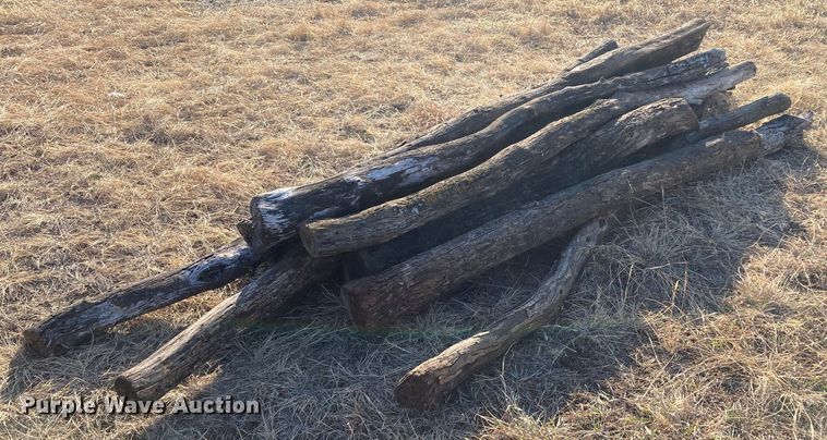 image for item DL2258 (60) hedge posts