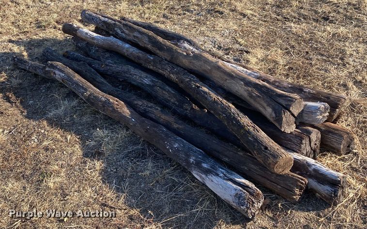 image for item DL2258 (60) hedge posts