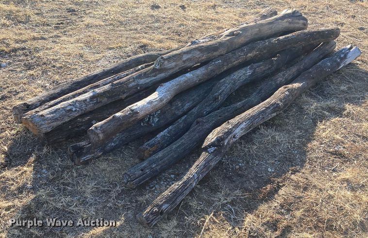 image for item DL2258 (60) hedge posts