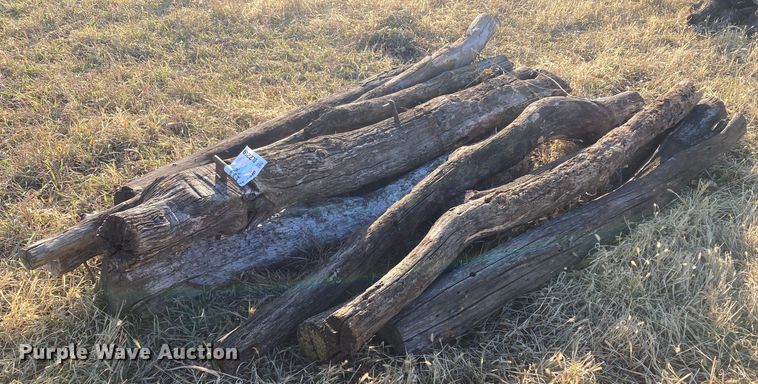 image for item DL2259 (60) hedge posts