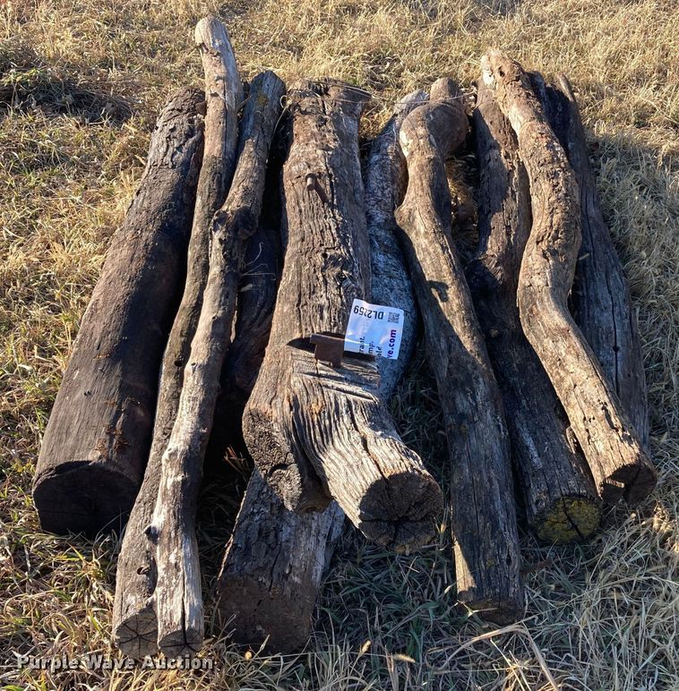 image for item DL2259 (60) hedge posts