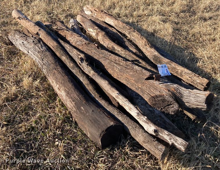 image for item DL2259 (60) hedge posts