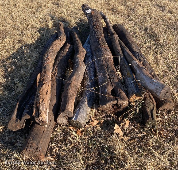 image for item DL2259 (60) hedge posts