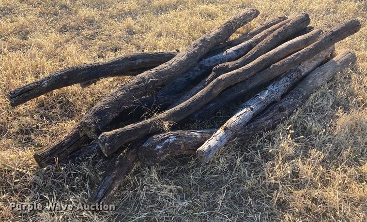 image for item DL2259 (60) hedge posts