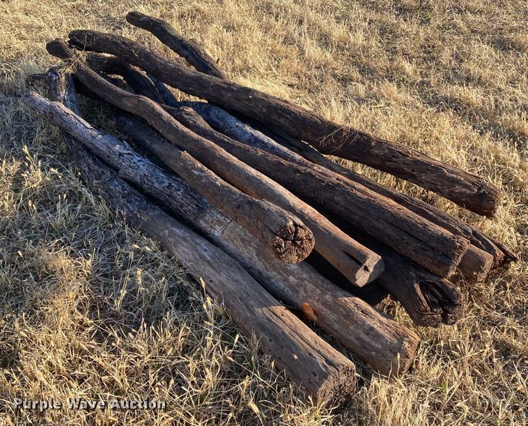 image for item DL2259 (60) hedge posts