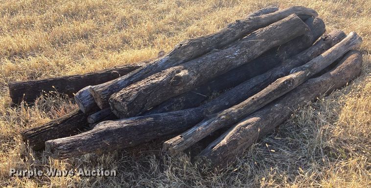 image for item DL2259 (60) hedge posts