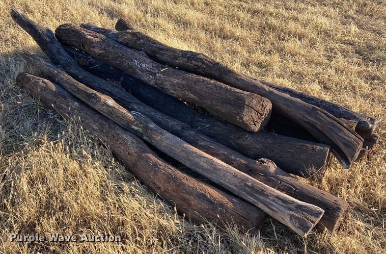 image for item DL2259 (60) hedge posts