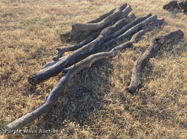 image for item DL2259 (60) hedge posts