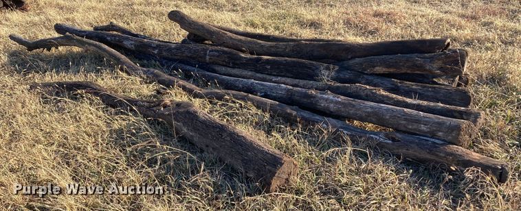 image for item DL2259 (60) hedge posts