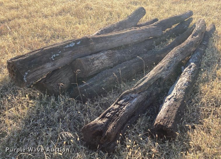 image for item DL2259 (60) hedge posts