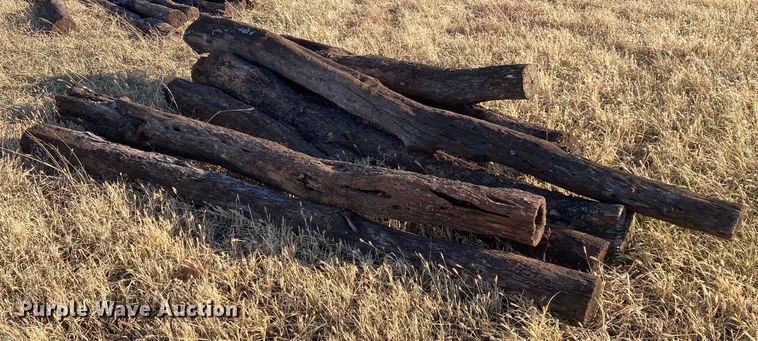 image for item DL2259 (60) hedge posts