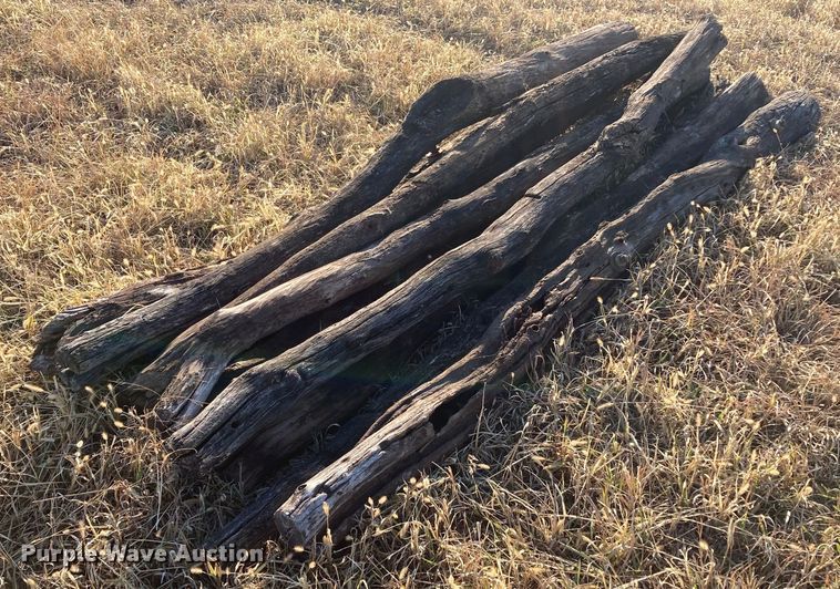 image for item DL2259 (60) hedge posts