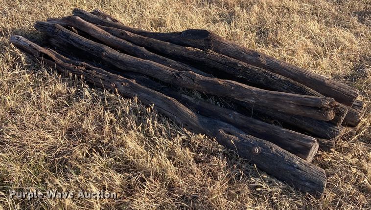 image for item DL2259 (60) hedge posts