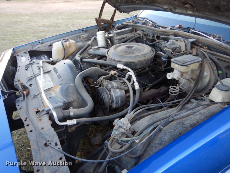 image for item LS9943 1983 Pontiac Parisienne Brougham