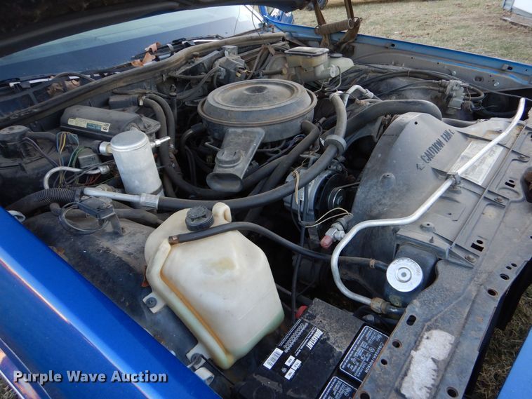 image for item LS9943 1983 Pontiac Parisienne Brougham