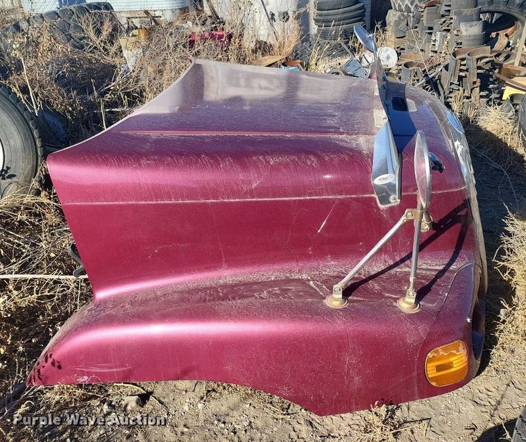 image for item IU9899 Freightliner hood